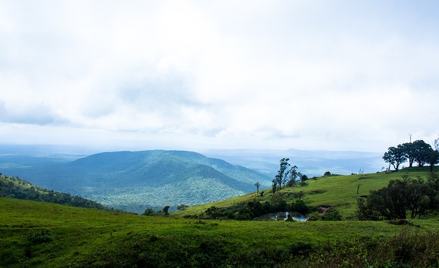 今天是海港足球俱乐部一线队球员武磊的生日，让我们...
